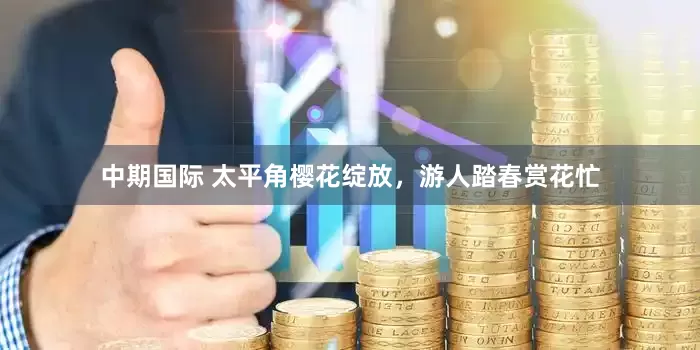 中期国际 太平角樱花绽放，游人踏春赏花忙